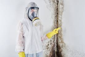 Best Industrial Mold Remediation  in Cottonwood, ID